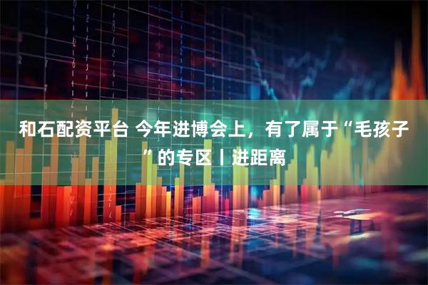和石配资平台 今年进博会上，有了属于“毛孩子”的专区丨进距离