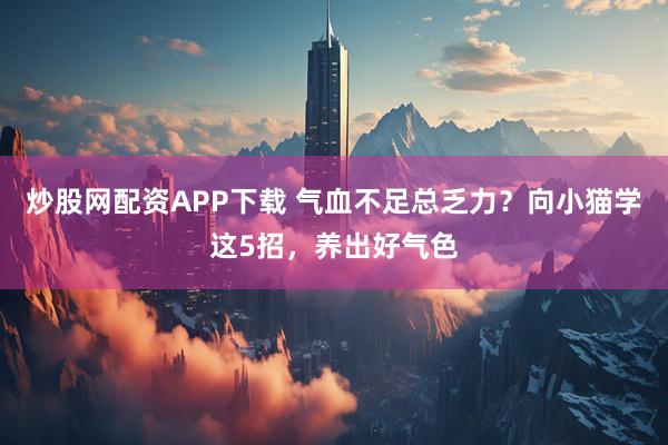 炒股网配资APP下载 气血不足总乏力？向小猫学这5招，养出好气色